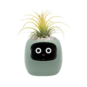 Vaso de plantas inteligente Odpaltoy Ivy com expressão, AI Robot Green