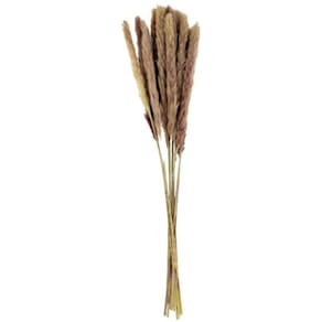 Capim Desidratado Marrom Natural 75X10Cm Planta Artificial