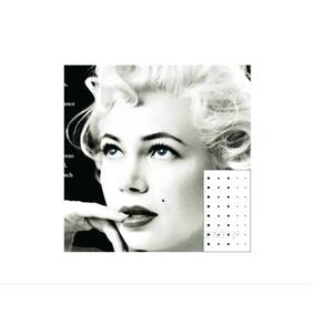 Tatuagem Temporária Cartela Pinta Marilyn Monroe Maquiagem