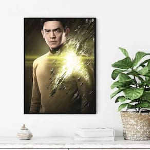 Quadro Decorativo Star Trek 45X34Cm