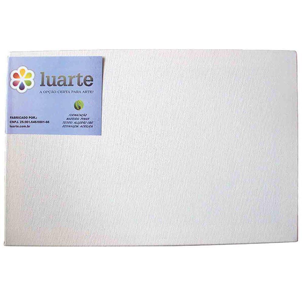 Tela Painel Para Pintura Algodao Luarte 20X30Cm