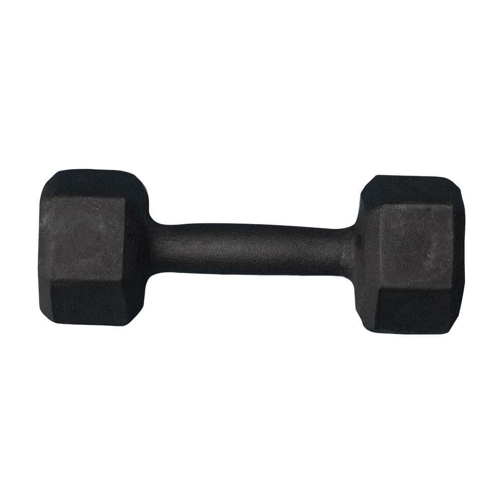 Halter Sextavado Pintado 2Kg Academia Treino Musculação