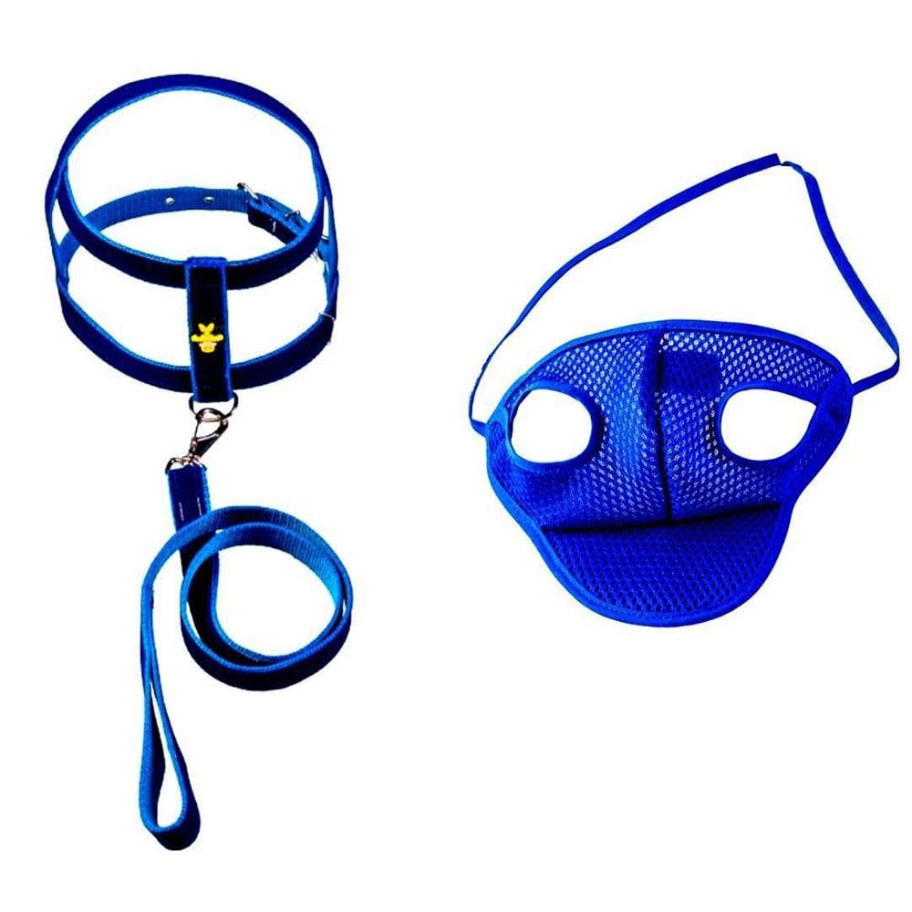 Kit Coleira Peitoral Azul Aplique E Boné Para Cachorros  N04