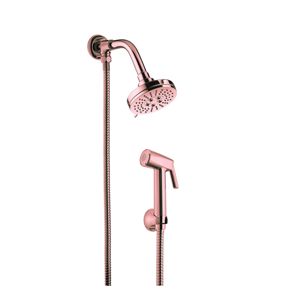 Ducha Lorentrio Com Desviador 1902 C16 - Dourado