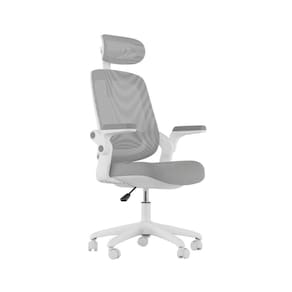 Cadeira De Escritorio Elements Astra Cinza/branco