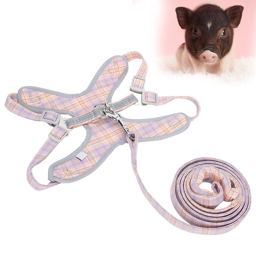 Conjunto de arnês e coleira WNSC para cães, respirável e reflexivo