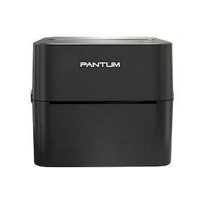 Impressora Térmica Pantum PT-D160nw 127V