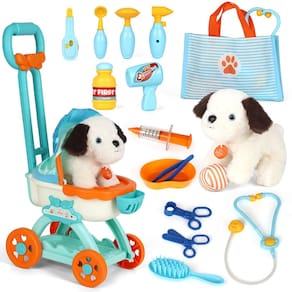 Veterinário Doctor Playset Lehoo Castle com cachorro para crianças de 3 a 5 anos