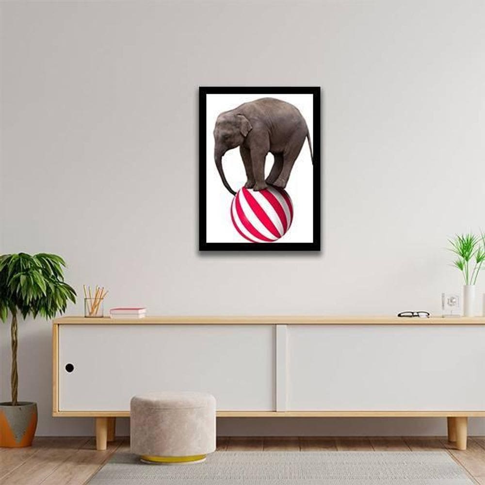 Quadro Elefante Em Cima Da Bola 24X18 Com Vidro - Preta