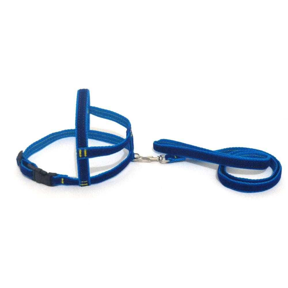 Conjunto Peitoral de Veludo liso azul  tamanho 03