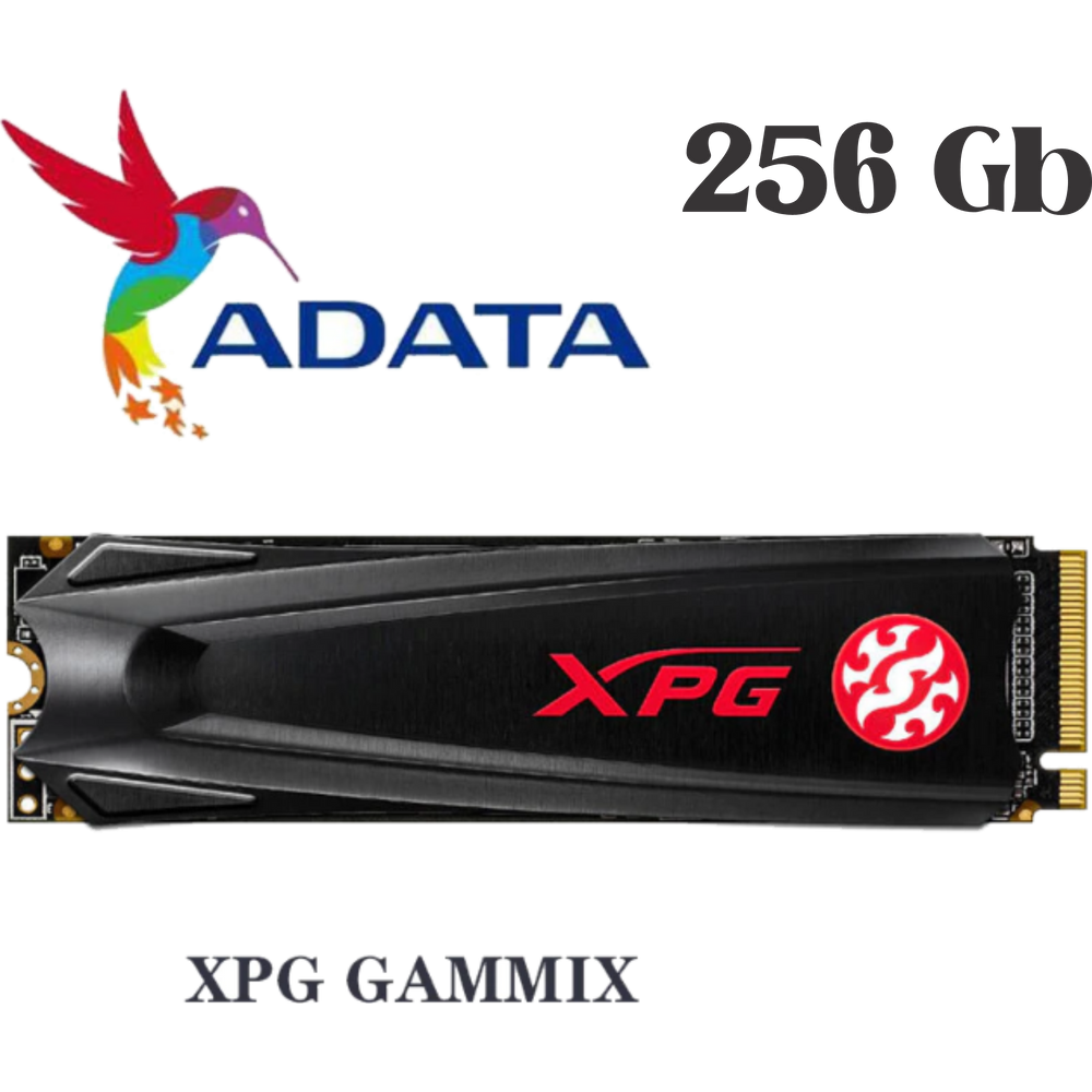 Ssd M.2 256 Gb Xpg Gammix S11 Lite Hd M2 2280