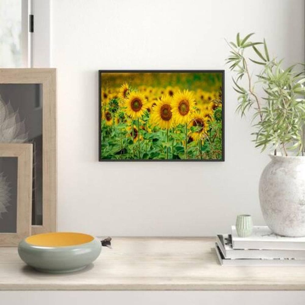 Quadro Fotografia Girassóis 24X18Cm - Com Vidro