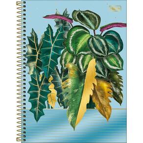 Caderno Universitário Naturalis Tilibra Capa Dura Espiral - 10 Matérias 160 Folhas Azul