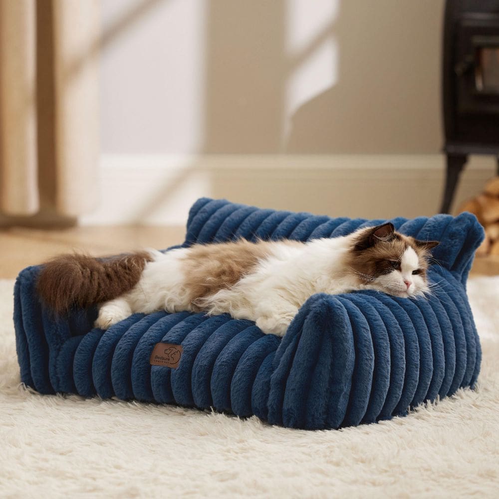Sofá fofo Cat Couch Bedsure com lã macia de veludo