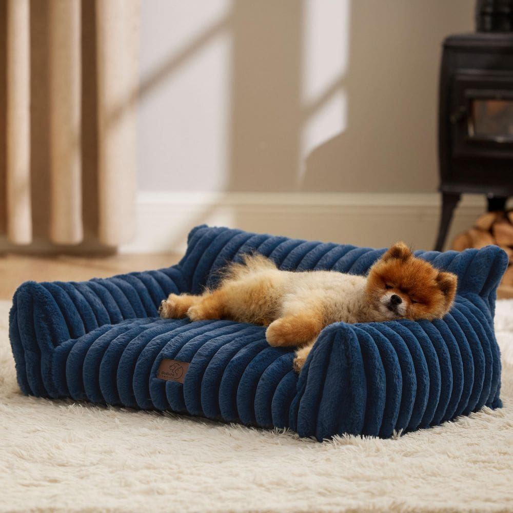 Sofá para animais de estimação Bedsure Sofá fofo para animais de estimação, cães pequenos e fofos