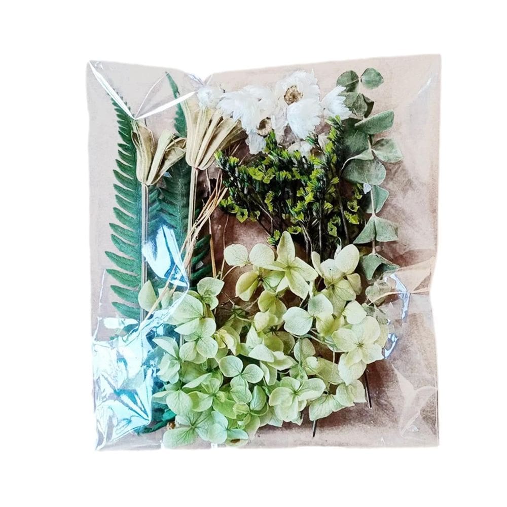 Cabeças de flores secas, buquê de margaridas secas, flores naturais