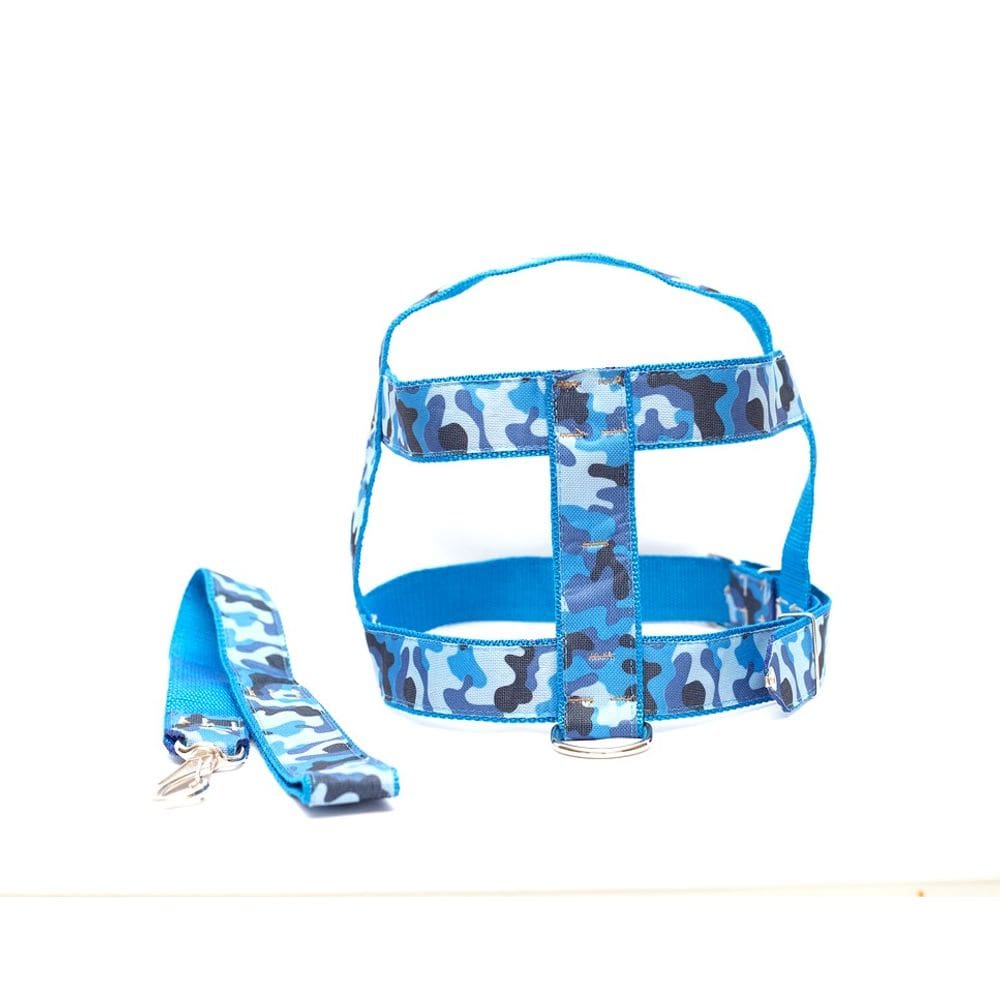 Kit Guia com peitoral 25mm azul tamanho 6 53 cm a 70 cm