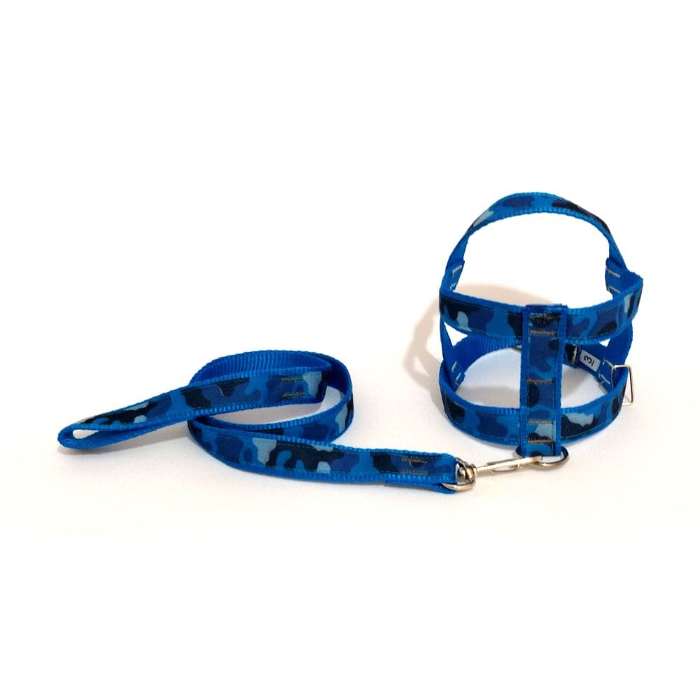 Conjunto guia com peitoral 25 mm azul tamanho 3 46cm-51cm