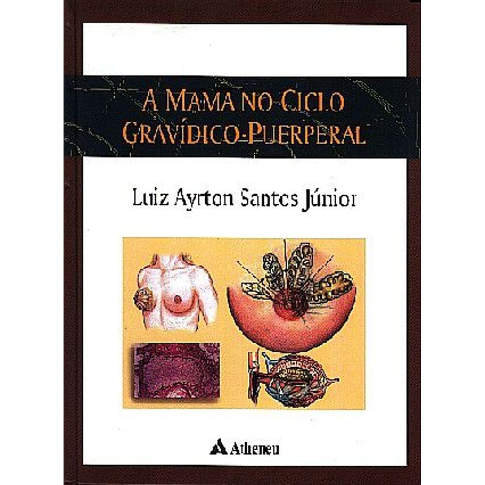 a mama no ciclo gravídico -puerperal