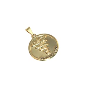 Pingente Medalha Profissão Fisioterapia Folheado Ouro 18k