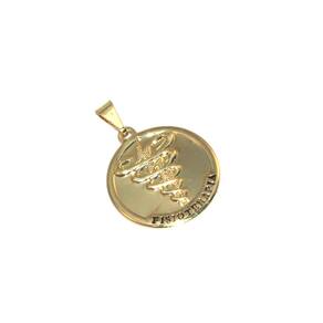 Pingente Medalha Profissão Fisioterapia Folheado Ouro 18k