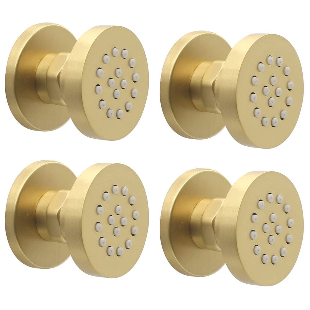 Pacote com 4 jatos de spray de chuveiro HOMEDEC em latão escovado e dourado