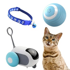 Kit Brinquedos Para Gato Fêmea Macho Se Mexe Sozinho Macho