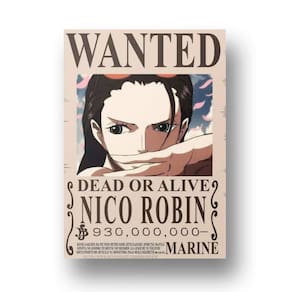 Placa Metal Decoração 20x28 cartaz procurado Robin One Piece