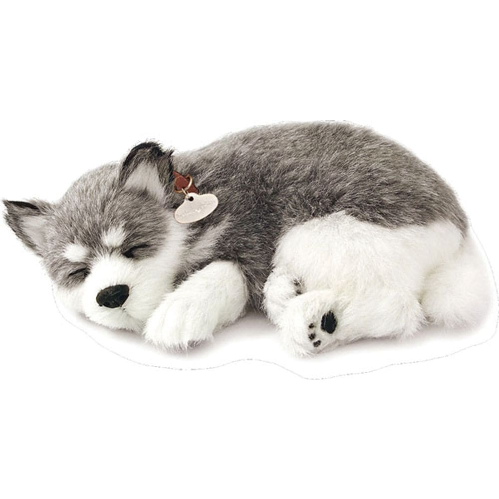 Perfect Petzzz filhotes Cachorro Husky Siberiano Imex