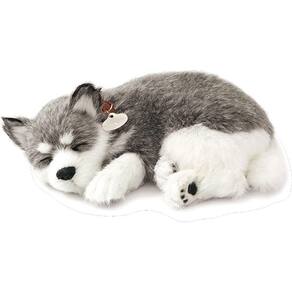 Perfect Petzzz  filhotes  Cachorro Husky Siberiano Imex
