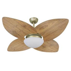 Ventilador Teto Volare Gold Vidro Dunamis Rádica Freijó 220V