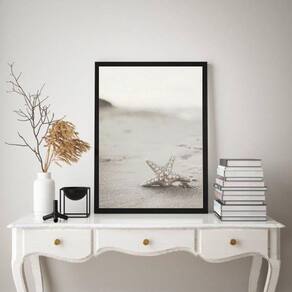 Quadro Decorativo Estrela Do Mar Branca 45X34Cm