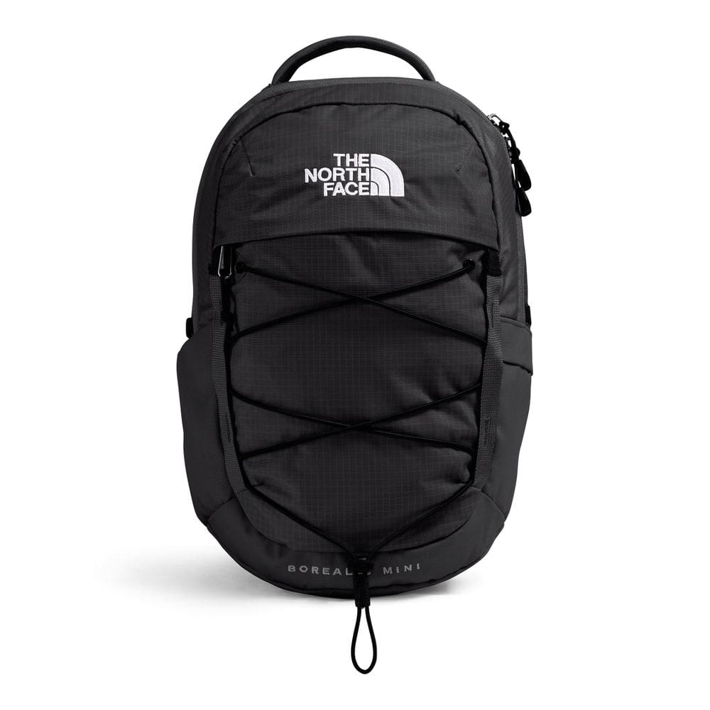 Mochila THE NORTH FACE Mini Borealis Commuter 10L TNF preta