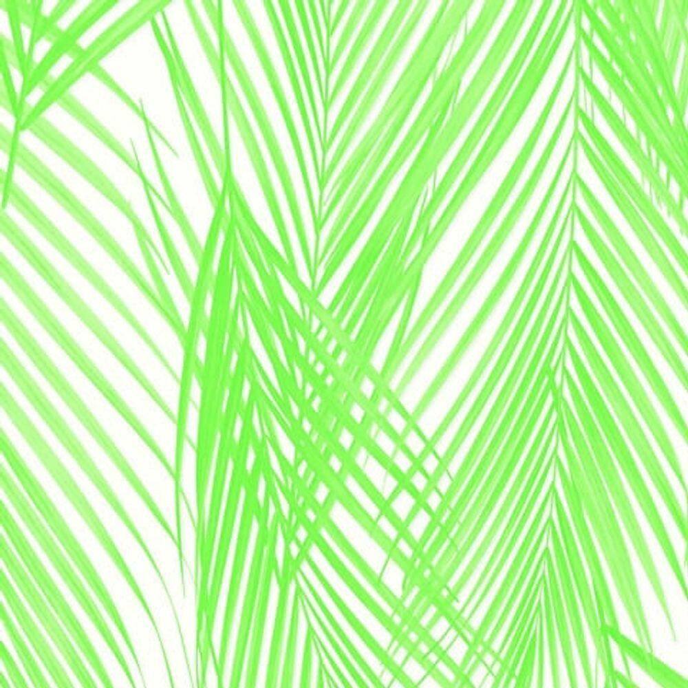 Papel De Parede Vince Folhagem Verde V1012-56