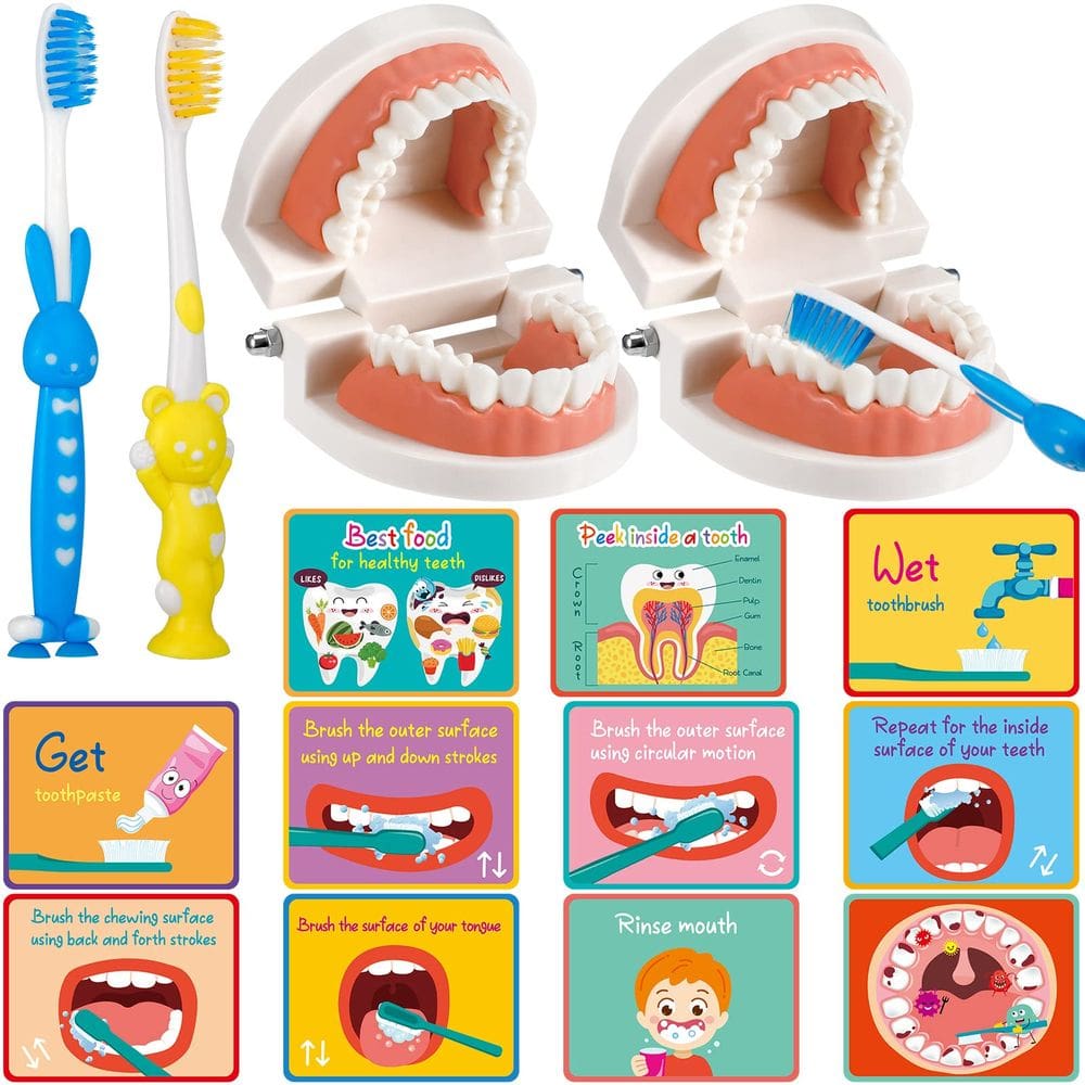 Kit de dentista Skylety 2 para crianças com modelo de dentes dentários