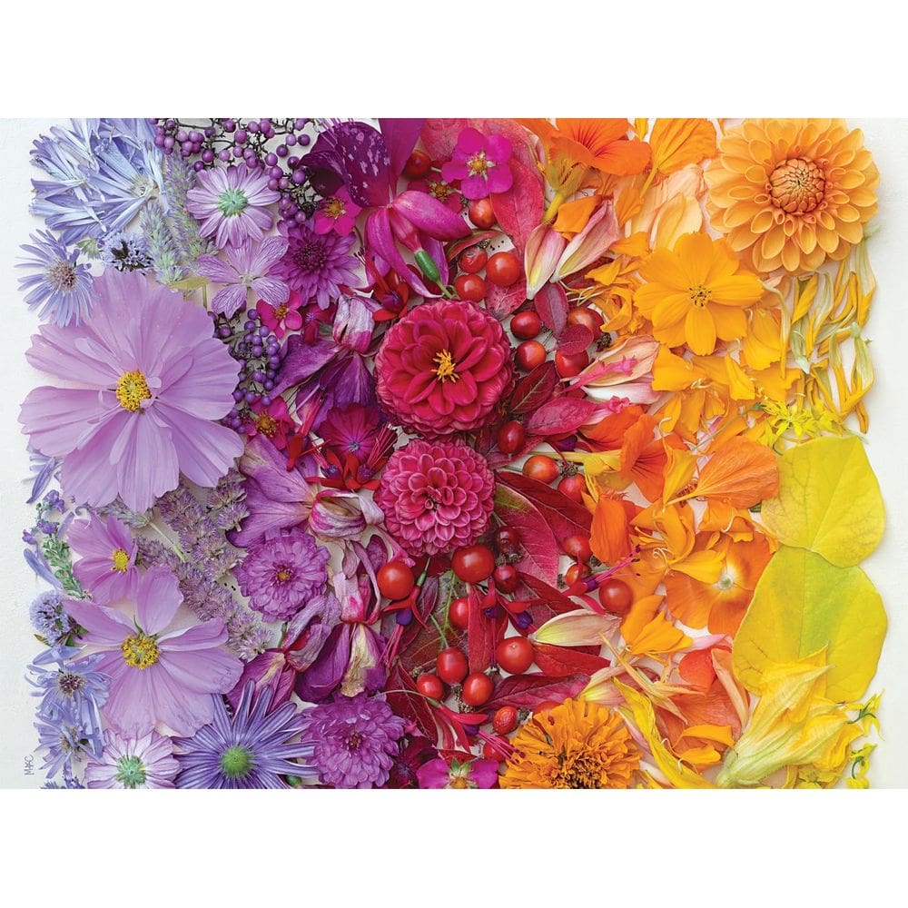 Quebra-cabeça Buffalo Games Meghan Crandall Gradient Flora