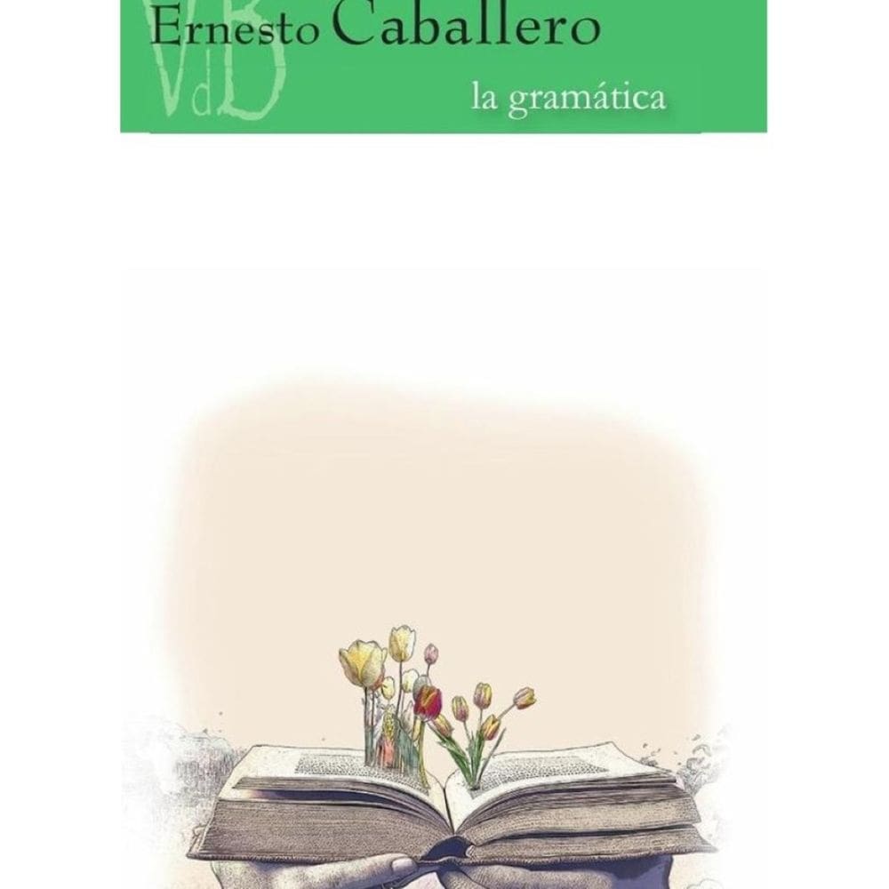 La gramática - Espanhol