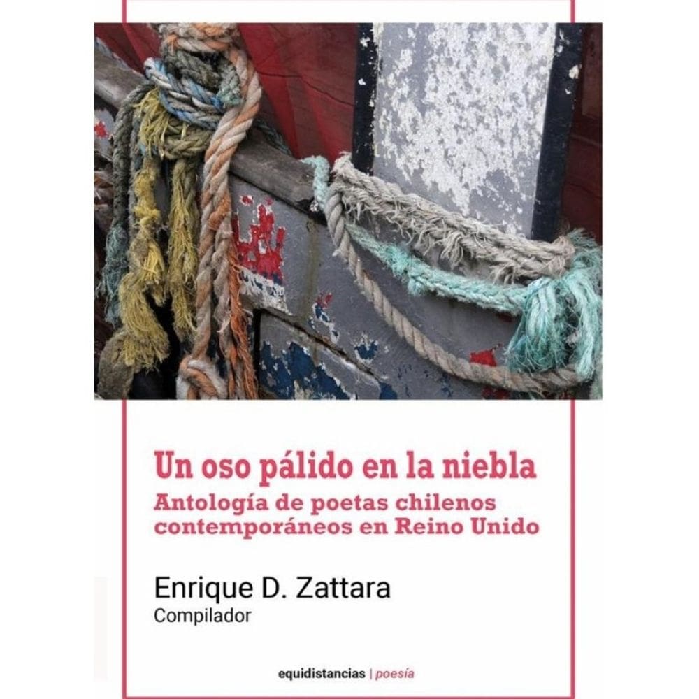 Un oso pálido en la niebla - Espanhol