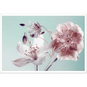 Quadro Decorativo Floral Fotografico Cerejeira 100x70cm
