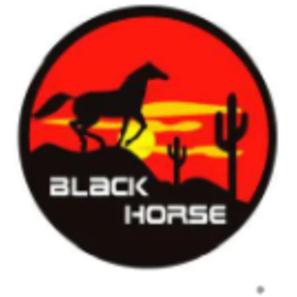 Capa Estepe Cavalo Negro + Cadeado Crossfox Aircross Spin