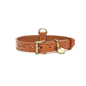 Coleira Milano Camelo Zampe - G