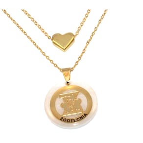 Colar Duplo Minha Profissão Zootecnia Folheado Ouro 18k