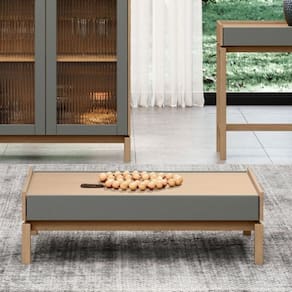 Mesa de Centro Barcelona 30x100x60 cm Oak/Ferrolack