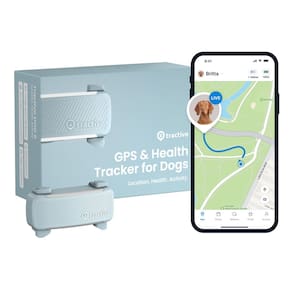 GPS Dog Tracker Tractive 2025 lança localização em tempo real