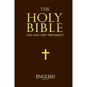 Livro Bíblia Sagrada em inglês, versão fácil de ler, nova e antiga, Testa
