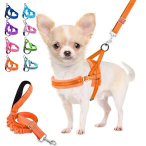 Conjunto de arnês e coleira para cães Lukovee Soft Acolchoado para cães pequenos