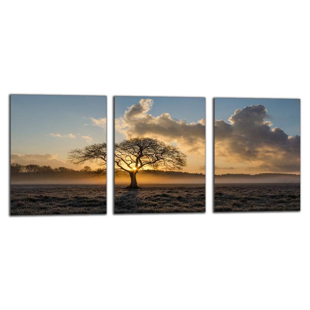 Arte de parede em tela Yetaryy Inspirational Tree of Life 40x60cmx3