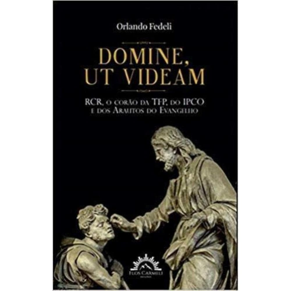 Domine Ut Videam