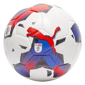 Bola de treino Puma Orbita 3 EFL Sky Bet