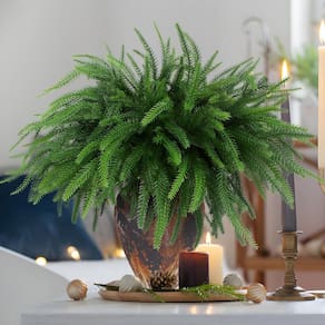 Hastes artificiais de pinheiro de Norfolk TISEMENT para decoração de Natal